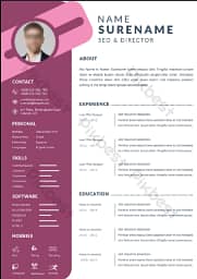 i am graphic designer i created cv,letters. bill,logo,marksheet etc 5