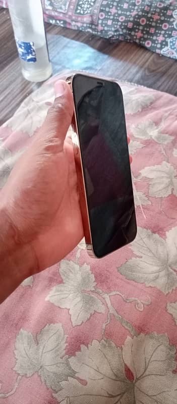 iphone 12 pro max 256 gb 2