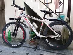 mountain bicycle