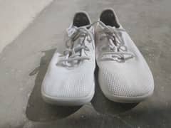 Shoes (allbirds) White Original