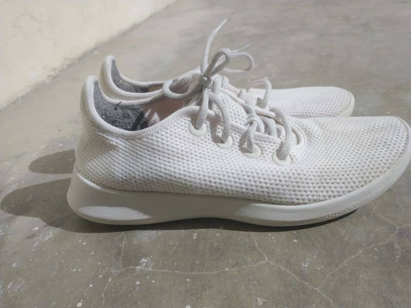 Shoes (allbirds) White Original 1