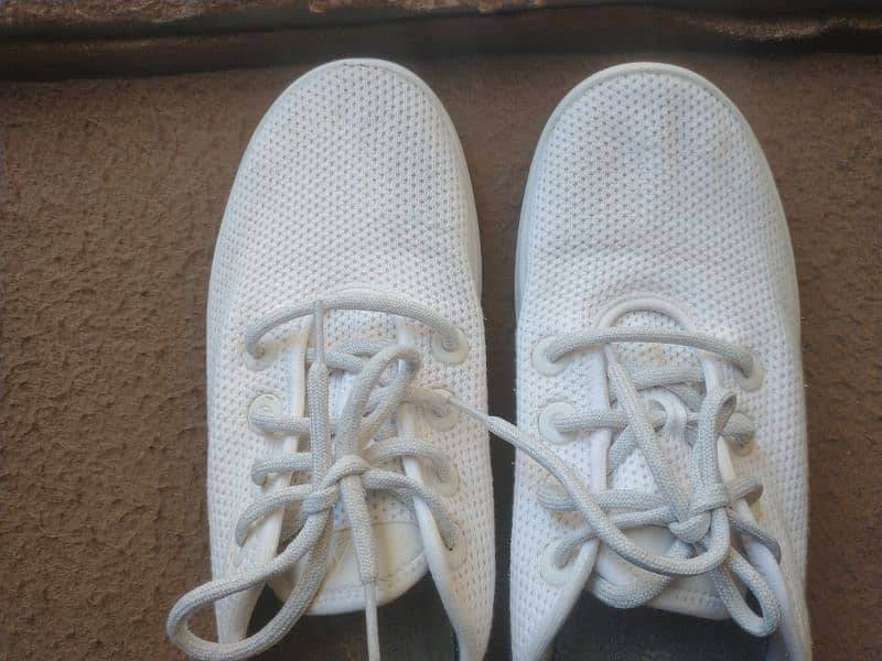 Shoes (allbirds) White Original 3