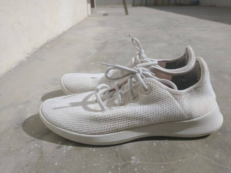 Shoes (allbirds) White Original 5