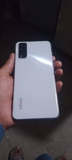 vivo