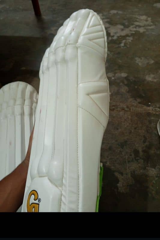 wicket keeping pads 1