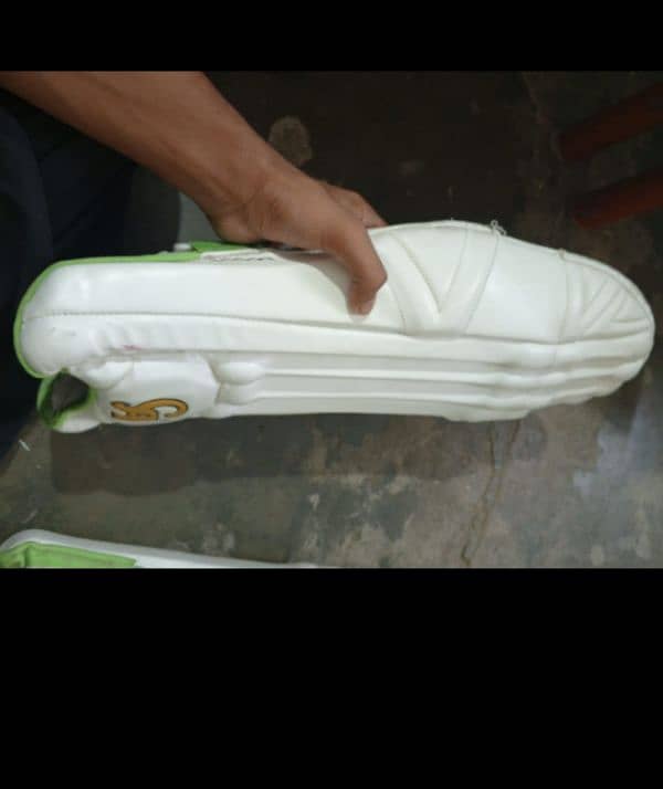 wicket keeping pads 2