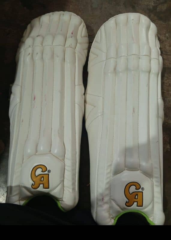 wicket keeping pads 3