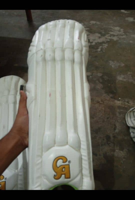 wicket keeping pads 5