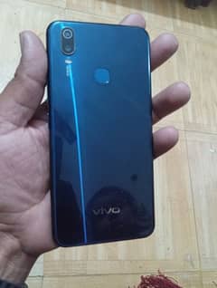 vivo