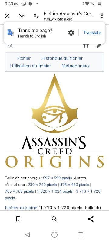 Assassin's Creed origins 0