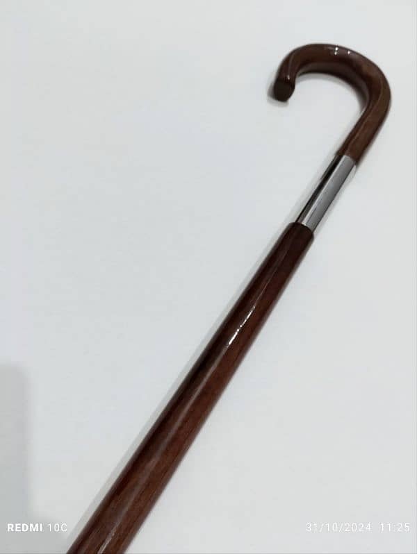 walking stick 2