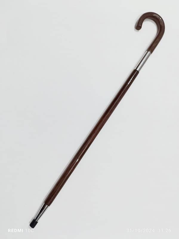 walking stick 3