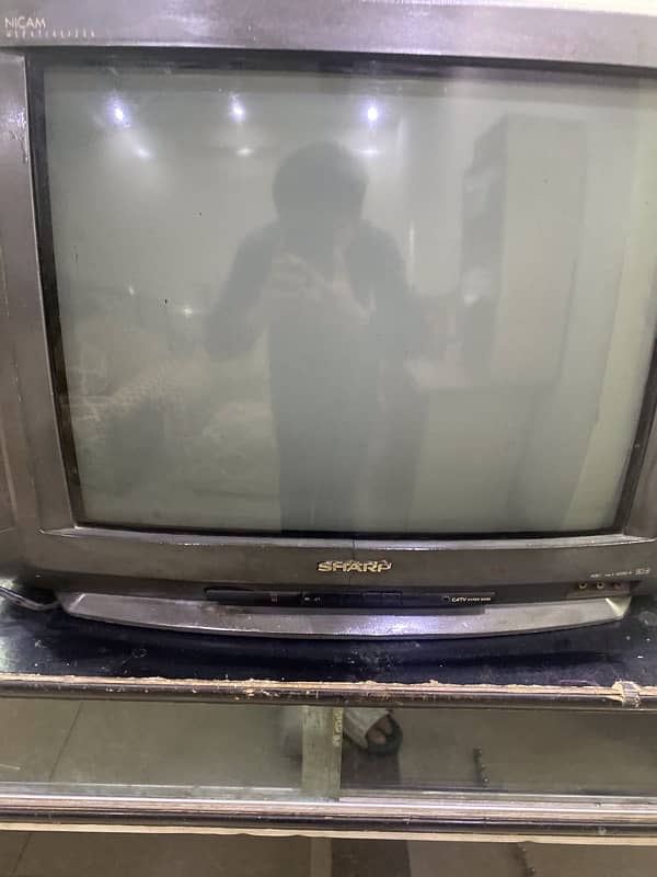 Sharp Television with trolley 1