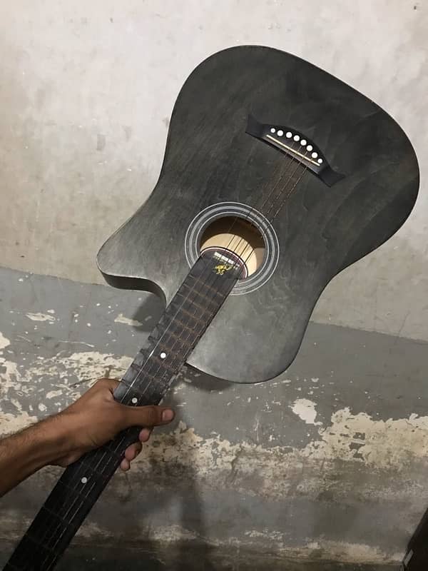 bigner level guitar 0