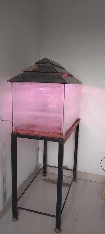 fish aquarium 0