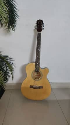 Acoustic Guitar