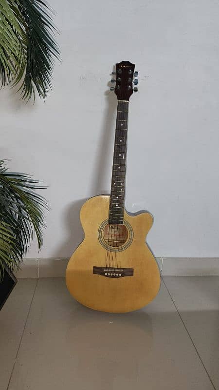 Acoustic Guitar 0