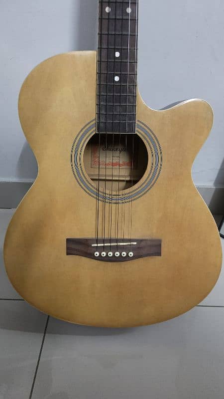 Acoustic Guitar 2