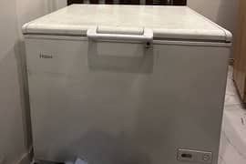 Haier Freezer