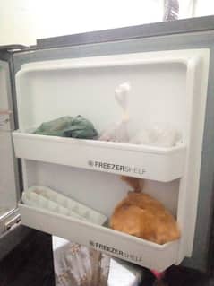 Orient Fridge