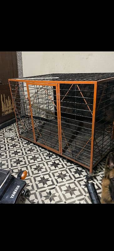 dog big cage for sale 3