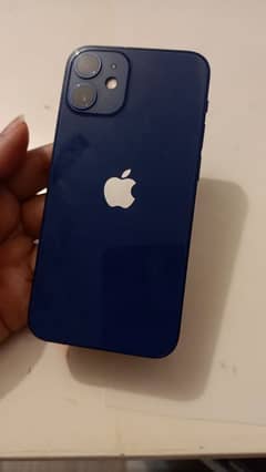 Iphone 12 mini (256 GB) non Pta