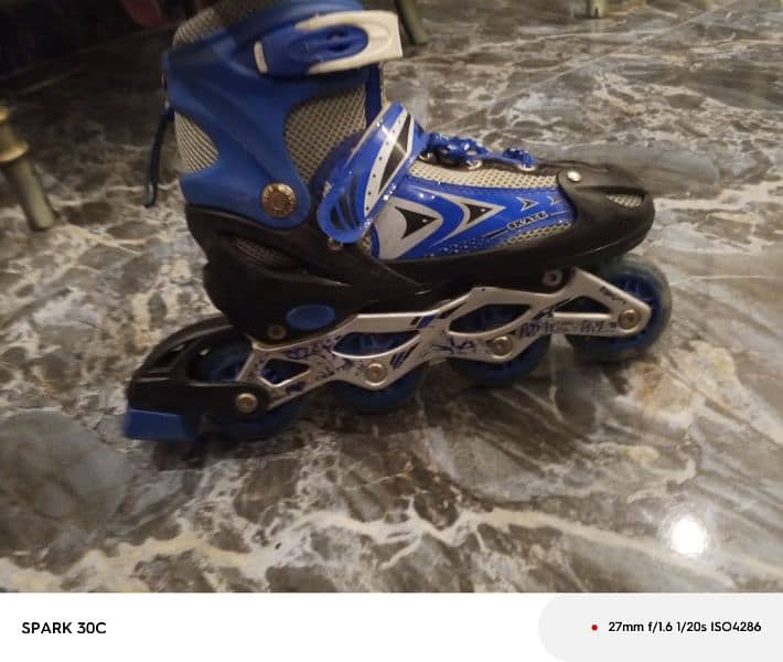 a pair of skates expendable 10/10 condition 1