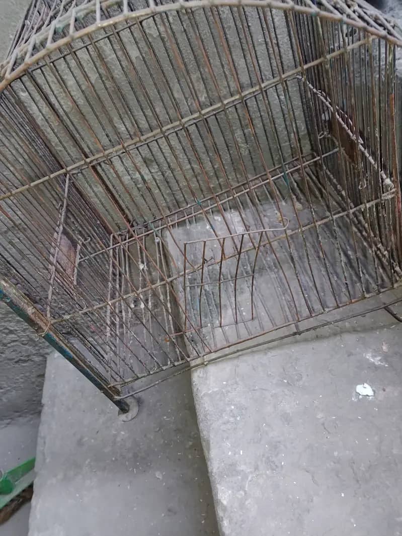 iron birds cage for sale call 03064300325 3