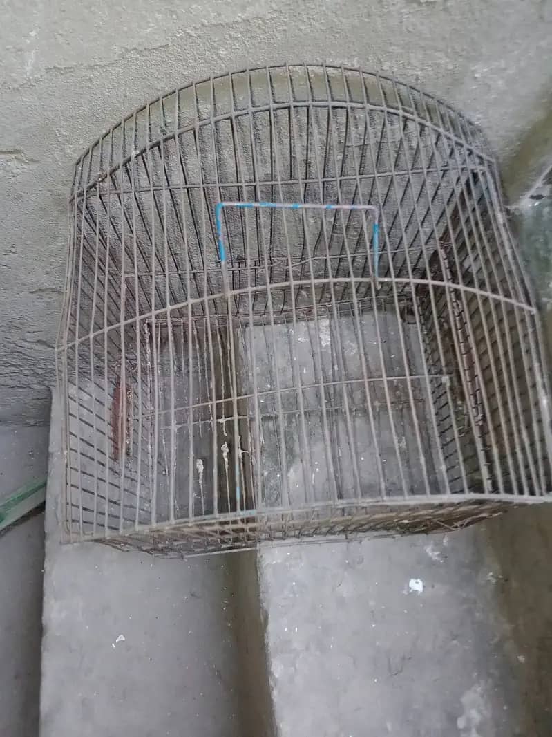 iron birds cage for sale call 03064300325 4