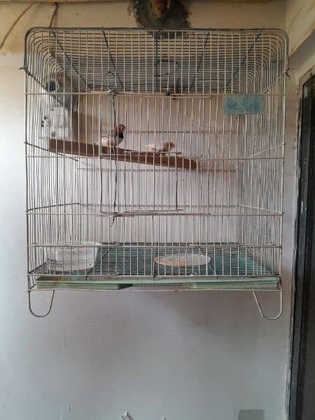 cage for birds hens 0