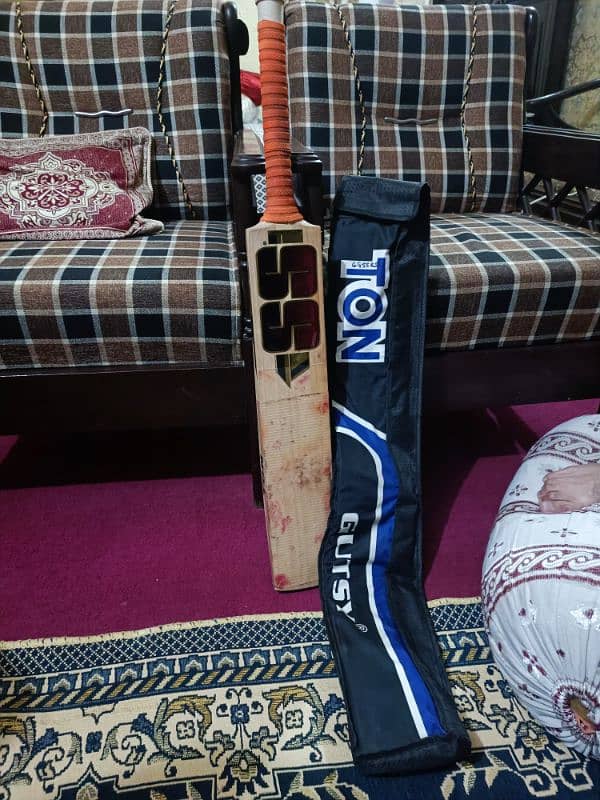 SS Hardball cricket bat 1