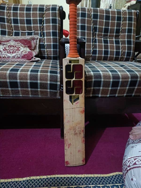 SS Hardball cricket bat 2