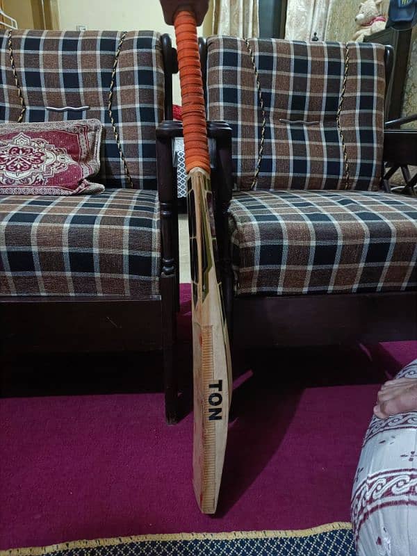 SS Hardball cricket bat 3