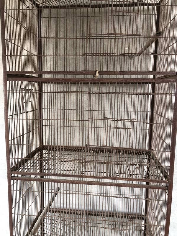 Parrot Birds iron cage 0