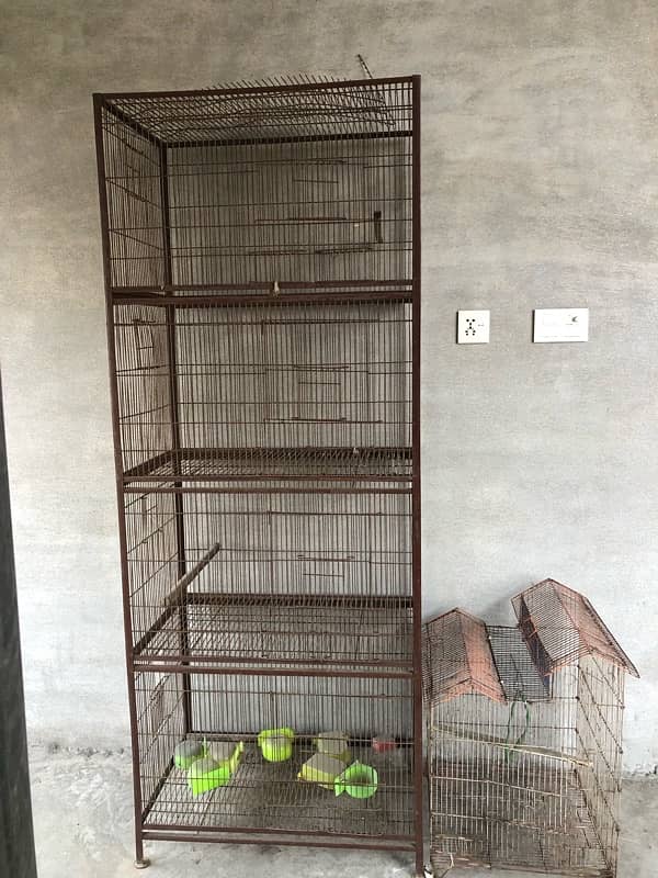 Parrot Birds iron cage 1