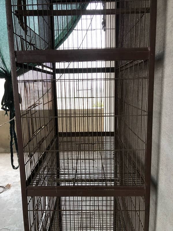 Parrot Birds iron cage 2