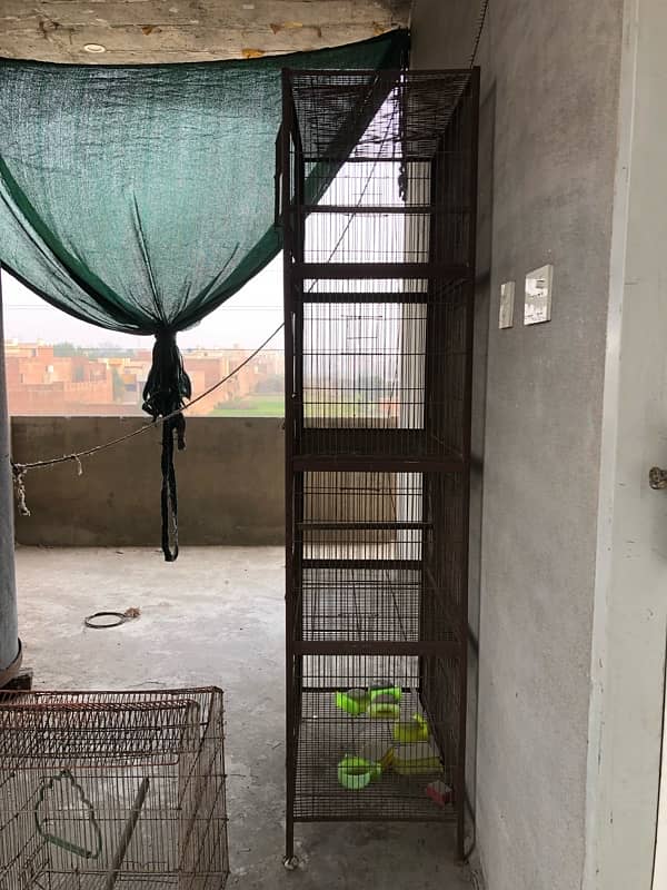 Parrot Birds iron cage 3