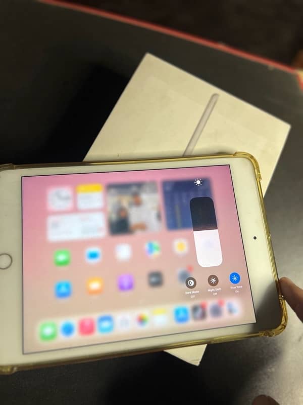 iPad mini 5 1