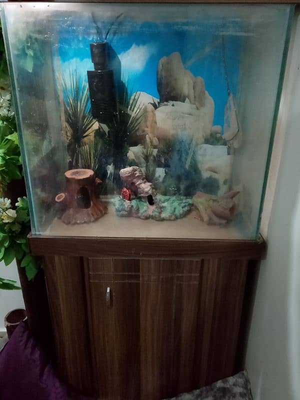 fish Aquarium 0