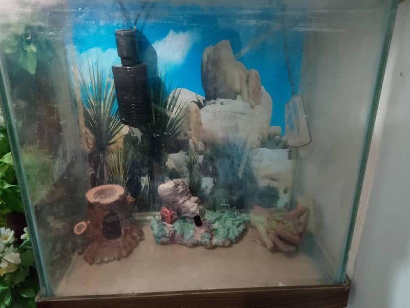 fish Aquarium 1