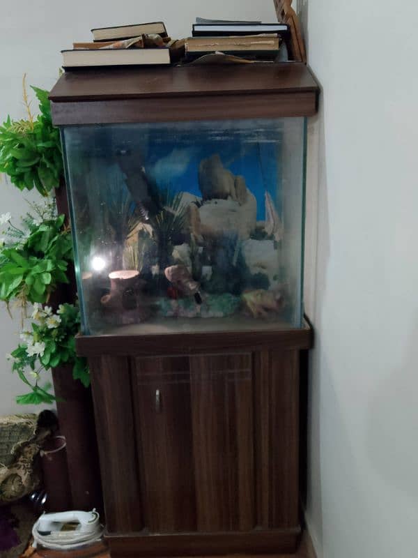 fish Aquarium 4