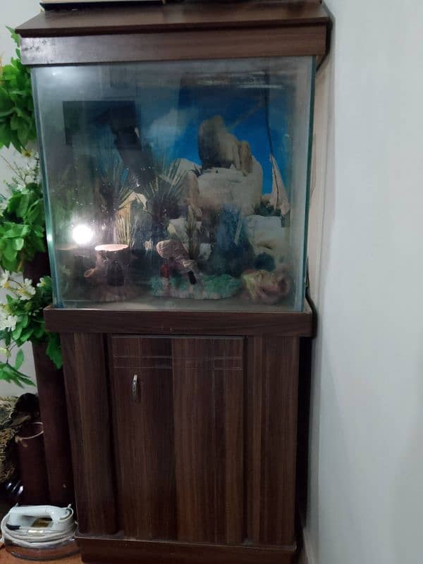 fish Aquarium 5