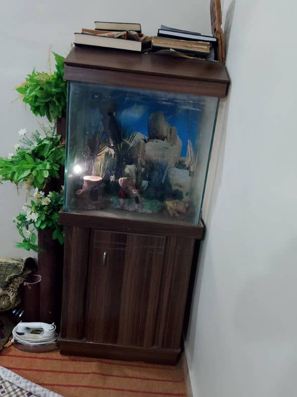 fish Aquarium 6