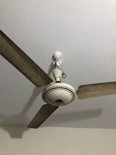 2 ceiling fan