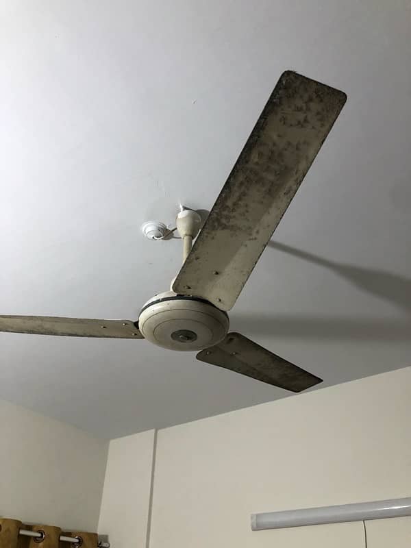 2 ceiling fan 1