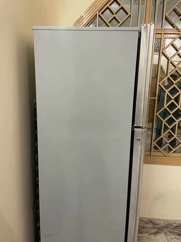 Pel Fridge For Sale 2