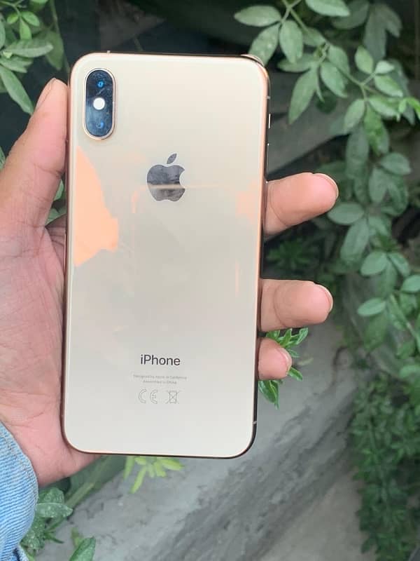 Xs Dual sim PTA Approved Golden 64Gb 0