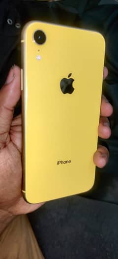 iPhone XR