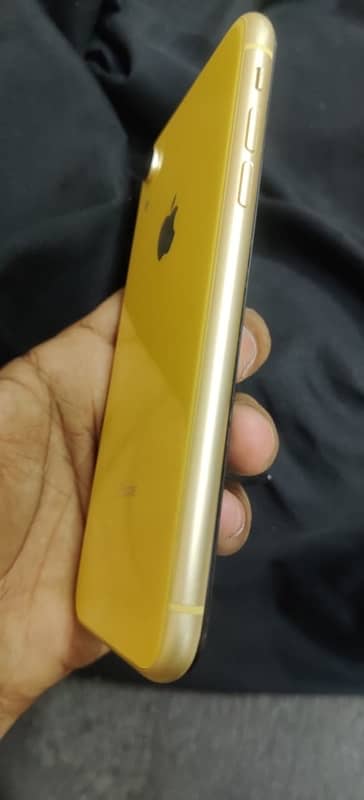 iPhone XR 1