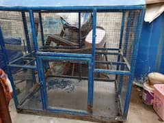 birds cage urgent sale